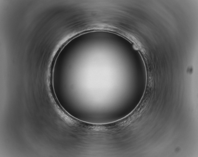 X0000101141136200806270913