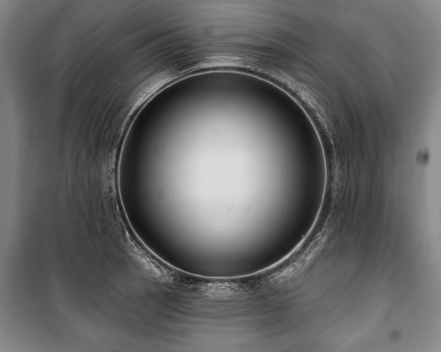 X0000101141137200806270913