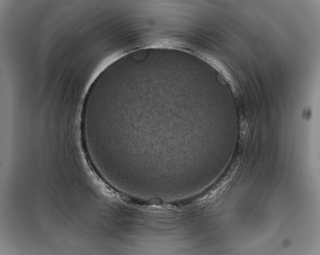 X0000101141138200806270913