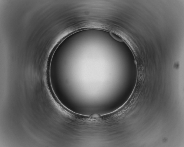 X0000101141139200806270913