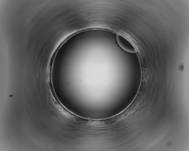 X0000101141140200806270913