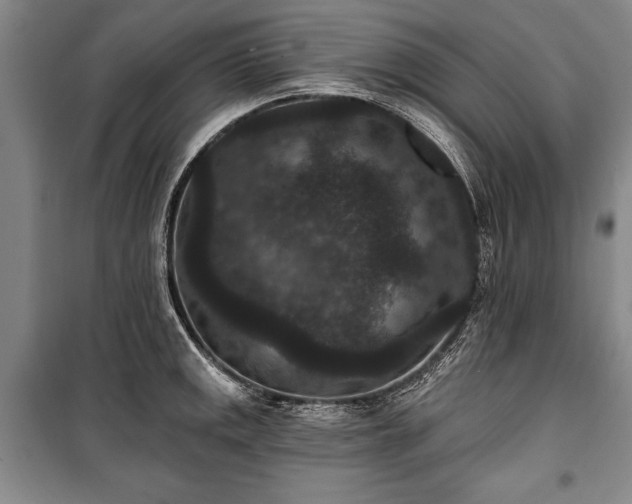 X0000101141141200806270914