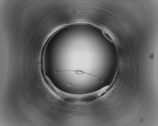 X0000101141142200806270914