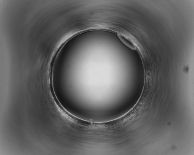 X0000101141143200806270914