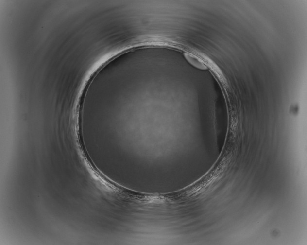 X0000101141144200806270914