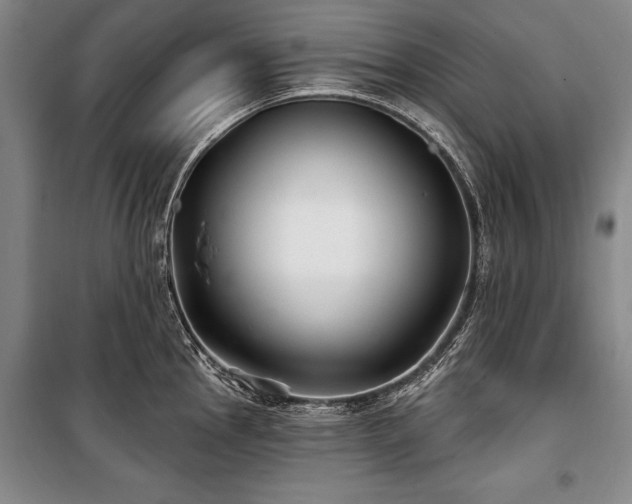 X0000101141145200806270914