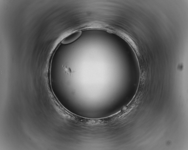 X0000101141146200806270914