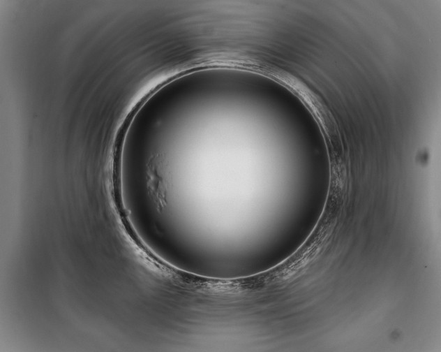 X0000101141147200806270914