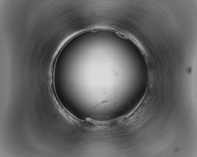 X0000101141148200806270914