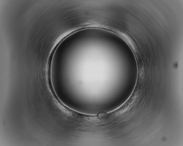 X0000101141149200806270914