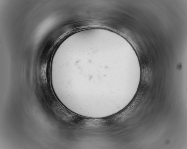 X0000101141150200806270914