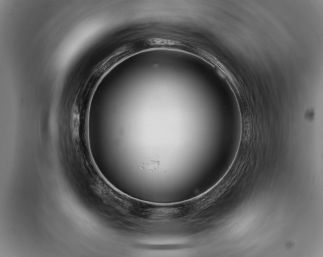 X0000101141151200806270914