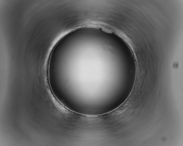 X0000101141152200806270914