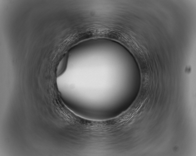 X0000101141153200806270913