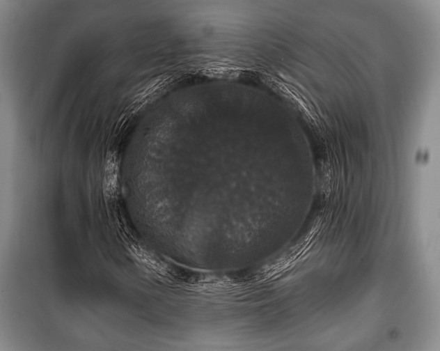 X0000101141154200806270913