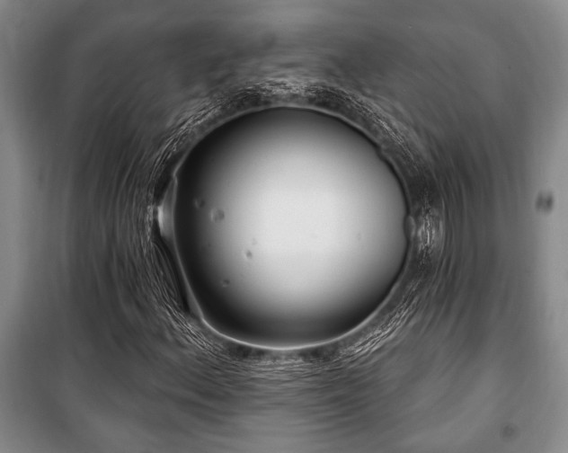 X0000101141156200806270913