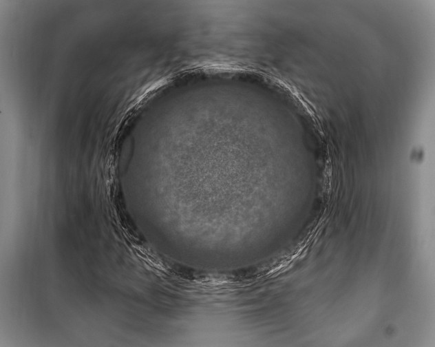 X0000101141157200806270913