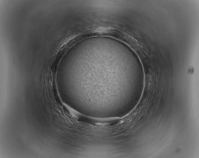 X0000101141158200806270913