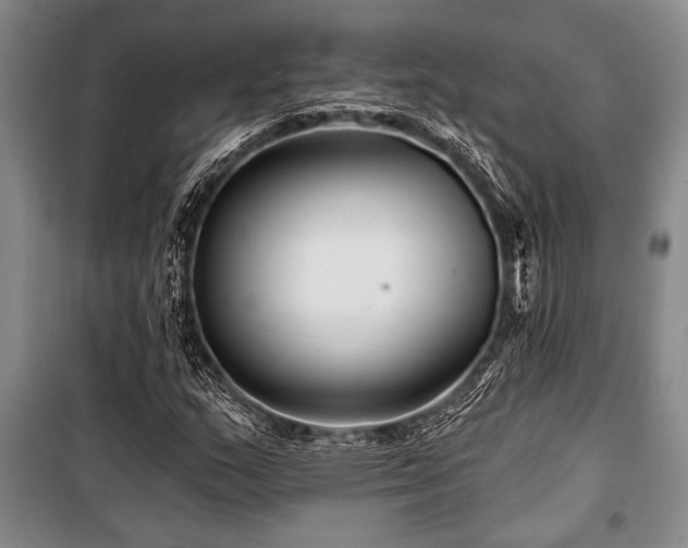 X0000101141159200806270913