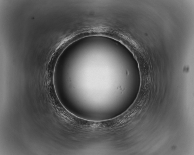 X0000101141160200806270913