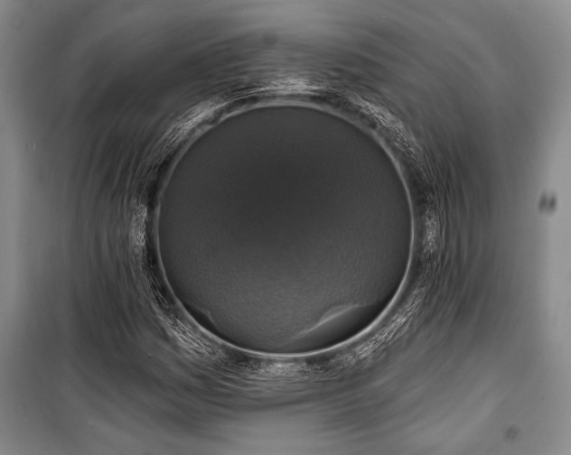 X0000101141161200806270913