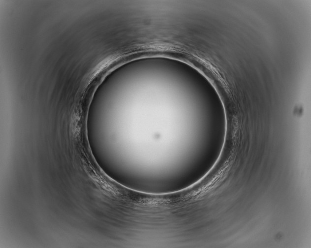 X0000101141163200806270913