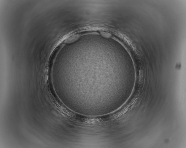 X0000101141165200806270913