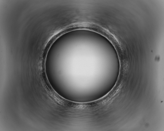 X0000101141166200806270913