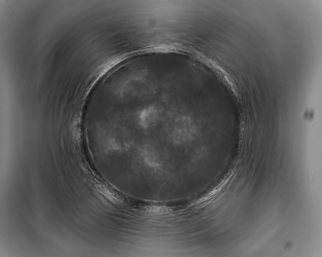 X0000101141170200806270913