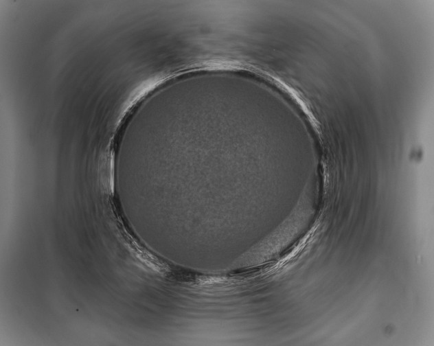 X0000101141171200806270913