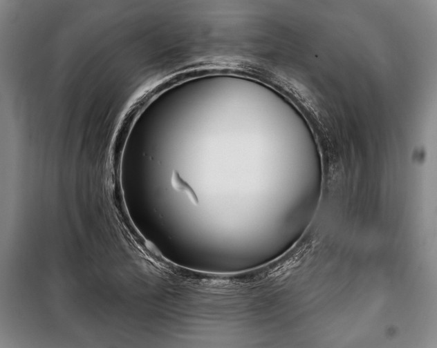 X0000101141172200806270913