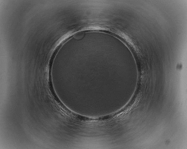 X0000101141173200806270912