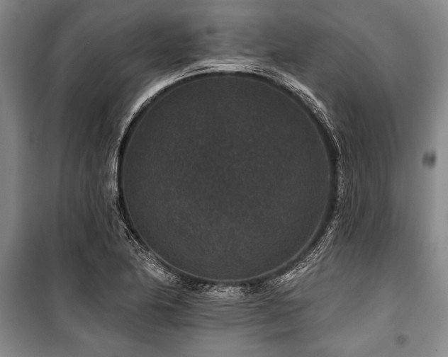 X0000101141174200806270912