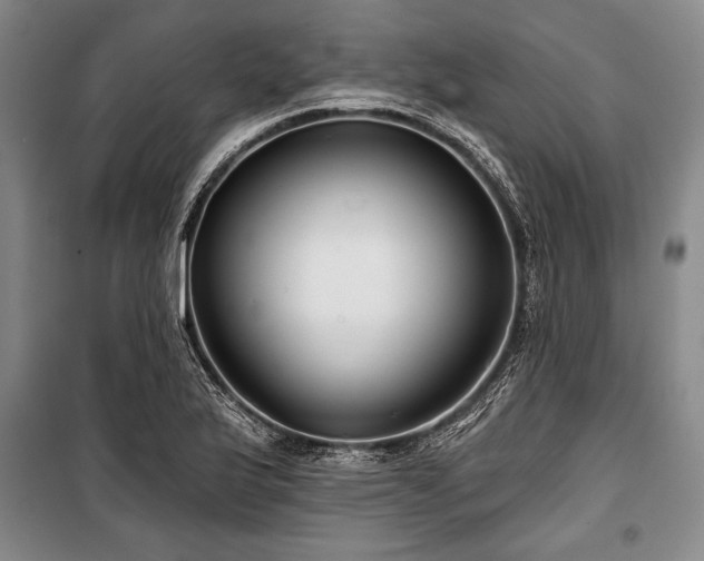 X0000101141175200806270912