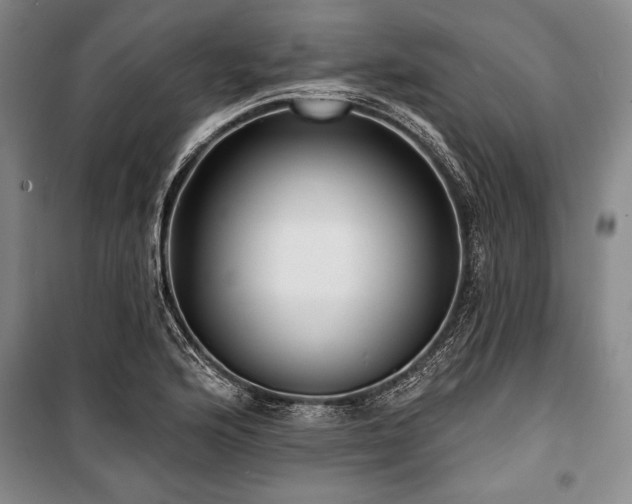 X0000101141176200806270912