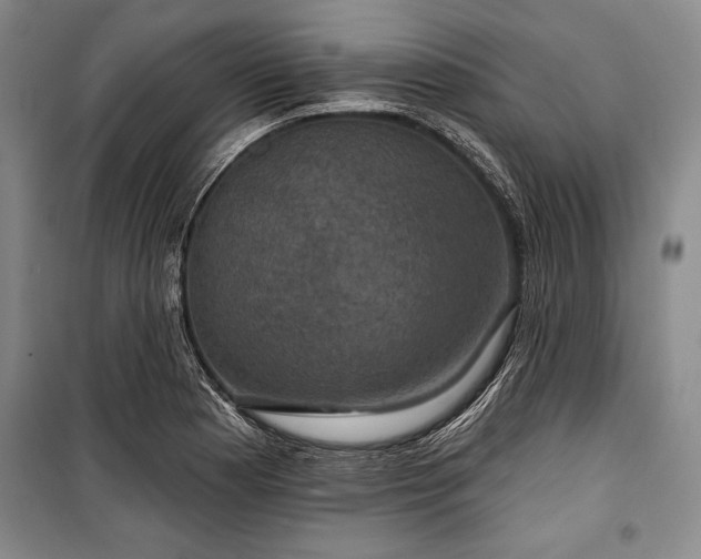 X0000101141177200806270912