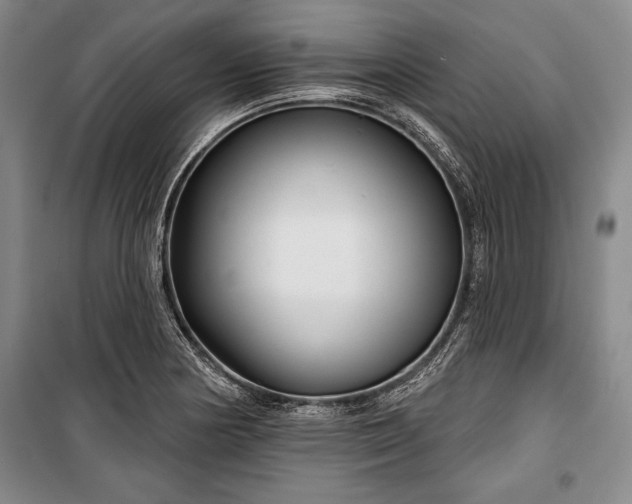 X0000101141178200806270912