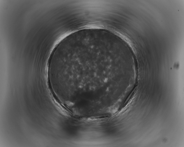 X0000101141179200806270912