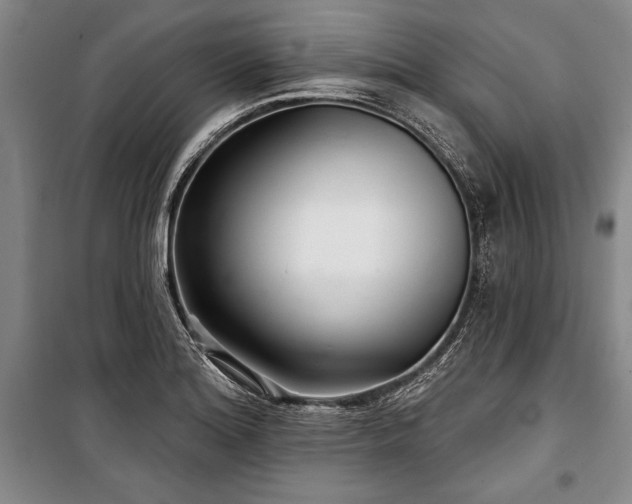 X0000101141180200806270912