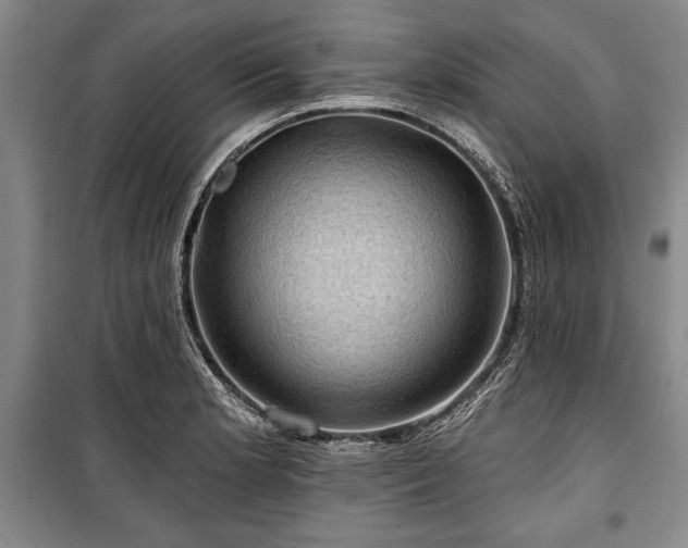 X0000101141181200806270912