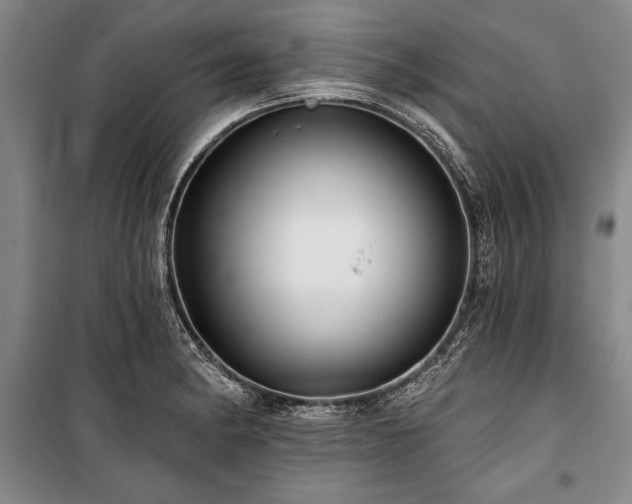 X0000101141182200806270912