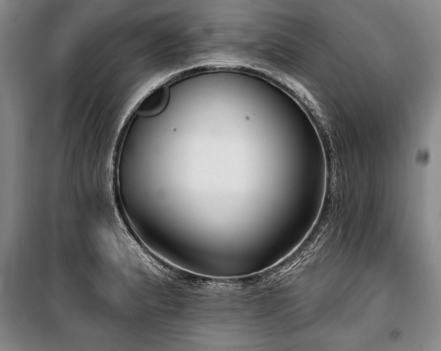 X0000101141183200806270912