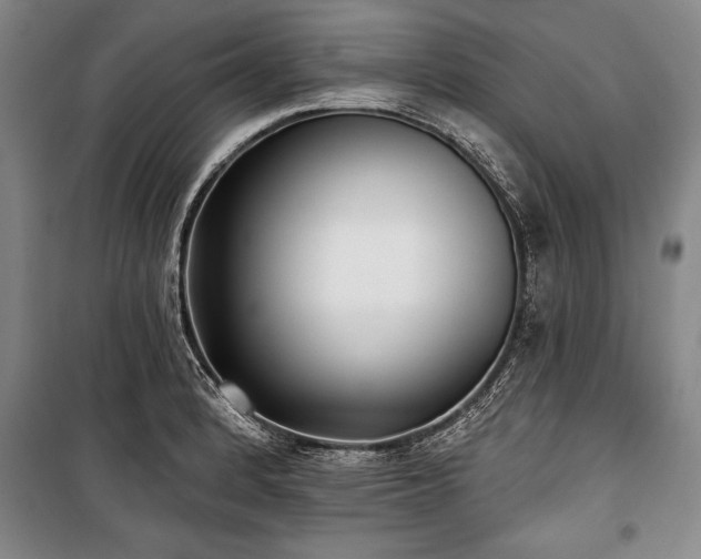 X0000101141184200806270912