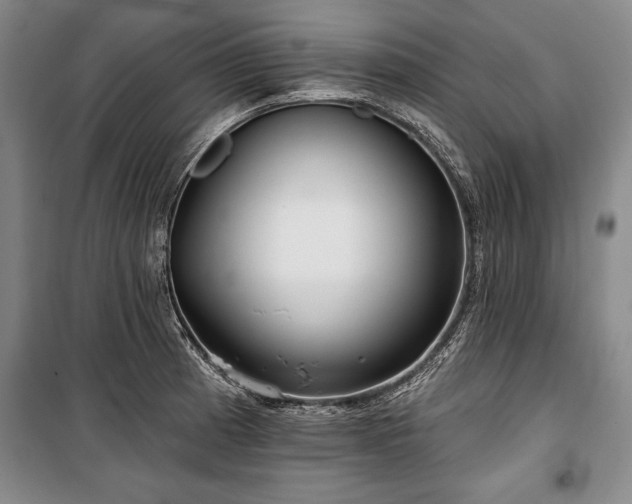 X0000101141185200806270912