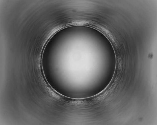 X0000101141186200806270912