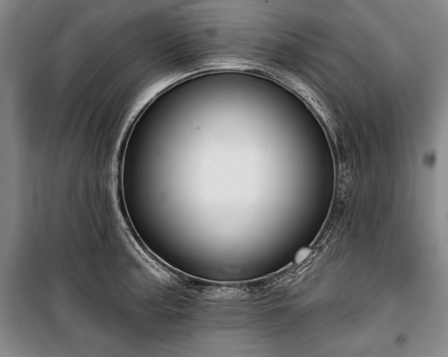 X0000101141187200806270912