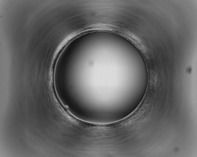 X0000101141188200806270912