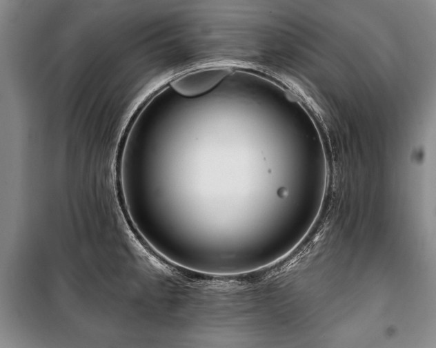 X0000101141189200806270912