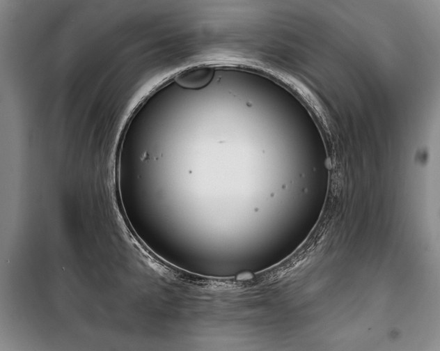 X0000101141191200806270912