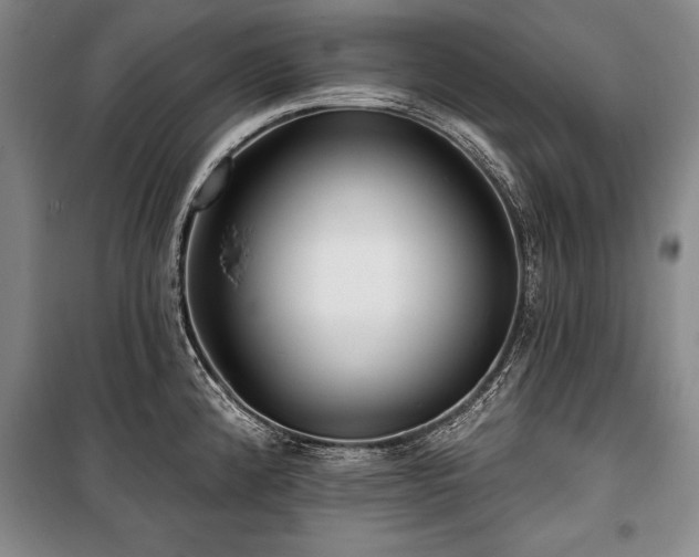 X0000101141192200806270912